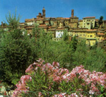 Sinalunga-Il centro storico
